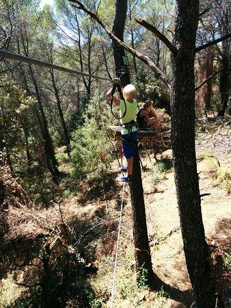 Parc aventure Flay Forest