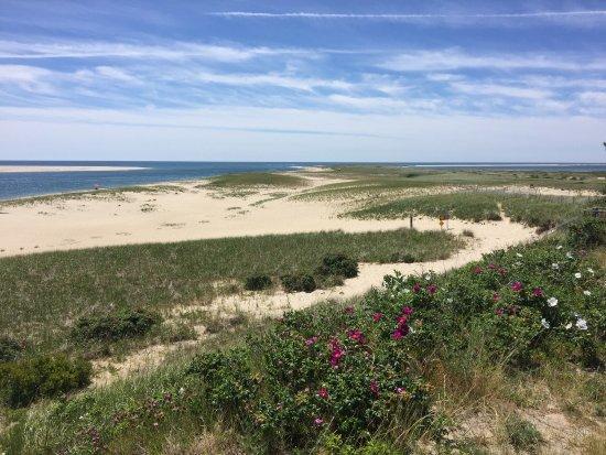 Chatham Lighthouse Beach