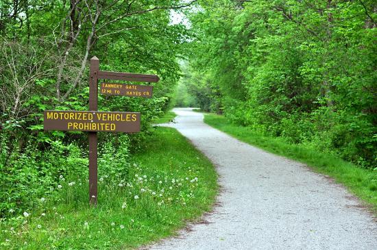 Pocono Bike Rental