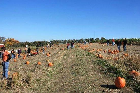 Soergel Orchards