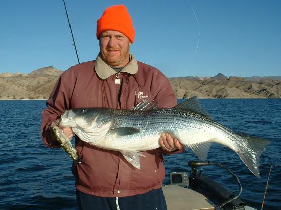 Adventure in Angling