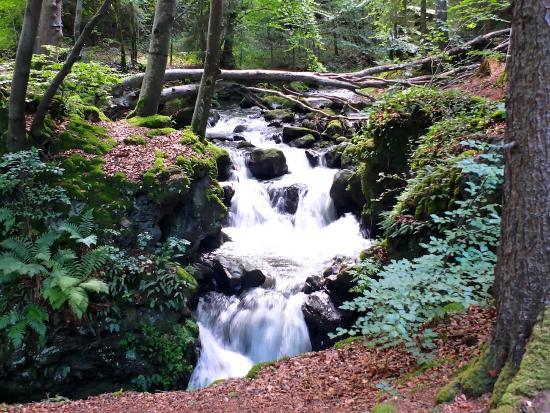 Cascades de Chiloza