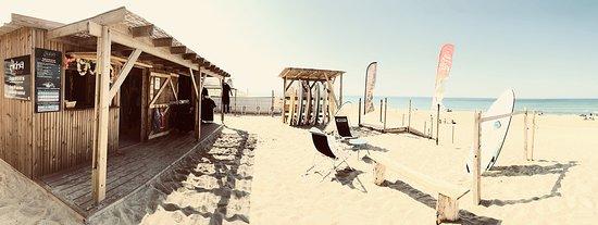 Aloha Ecole de Surf