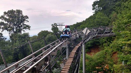 Ober Gatlinburg's Ski Mountain Coaster