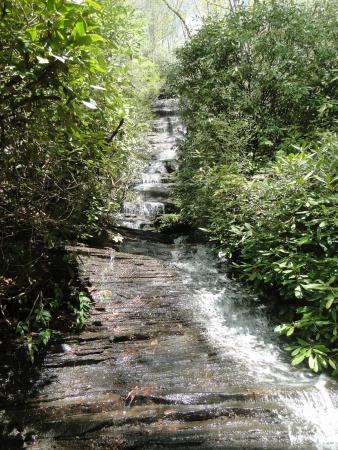 Angel Falls Trail