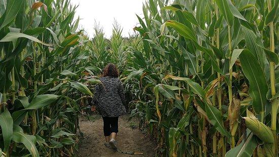 Popcorn Labyrinthe