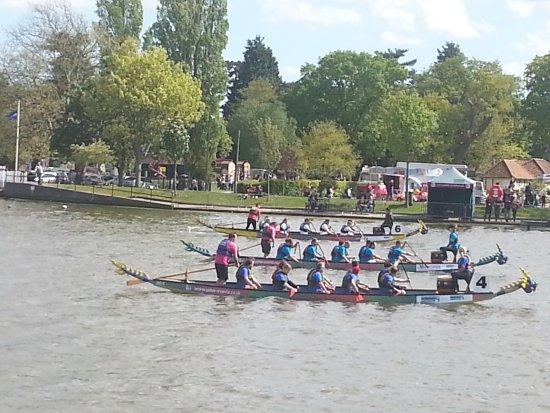Waveney River Tours