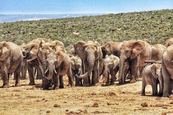 Afroventures Tours & Safaris