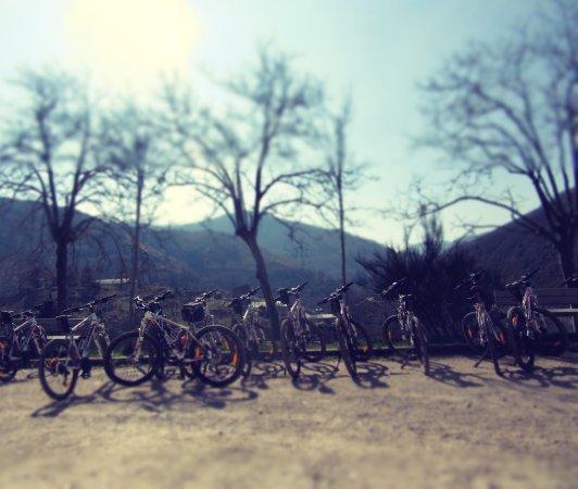 Mellow Velos