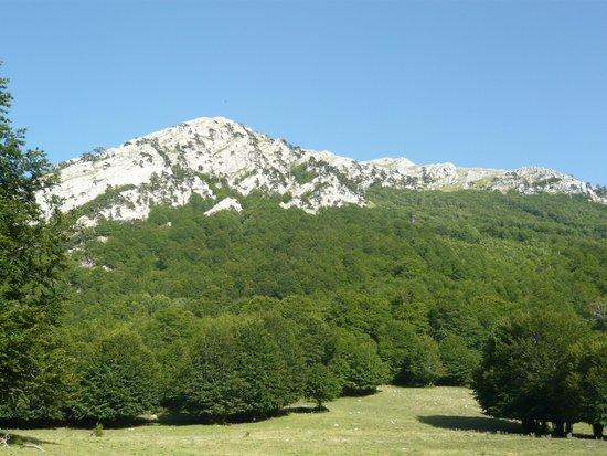 Associazione Viaggiare nel Pollino