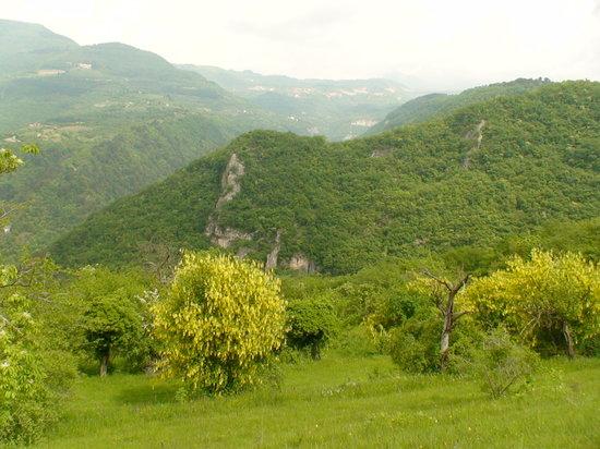 Marezzane