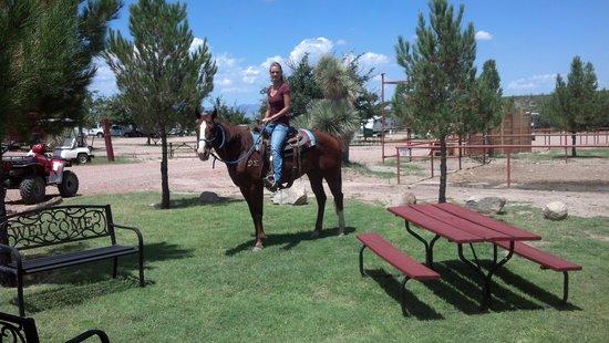 Shatterhand Stables