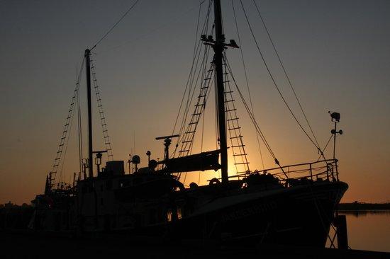 Wanderbird Expedition Cruises