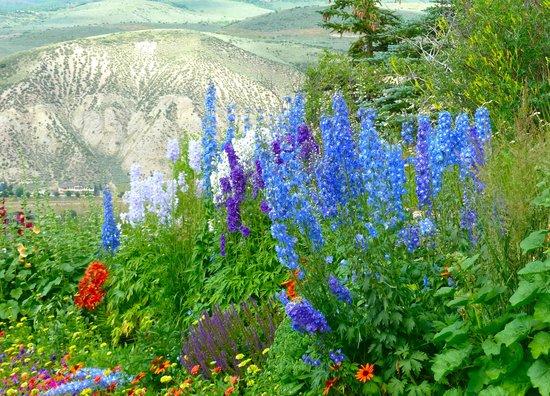 Beaver Creek Hiking Center