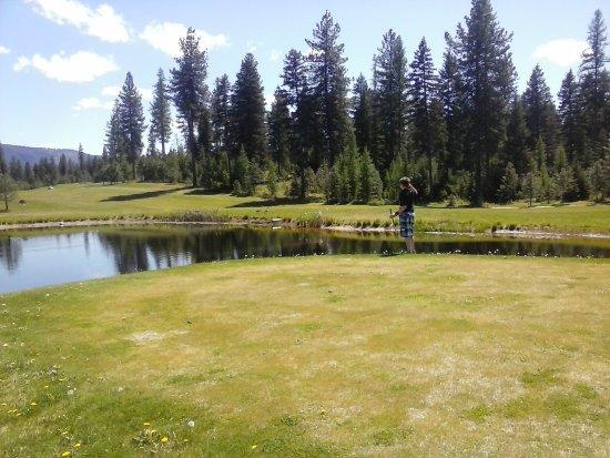 Cabinet View Golf Club