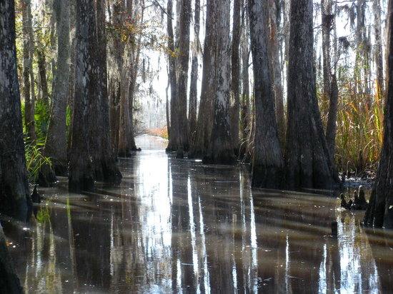 Colonial Coast Eco Tours