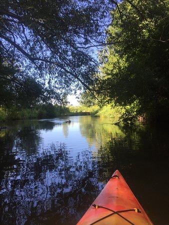 Kinni Kayak