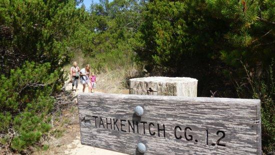 Tahkenitch Creek Loop Trail