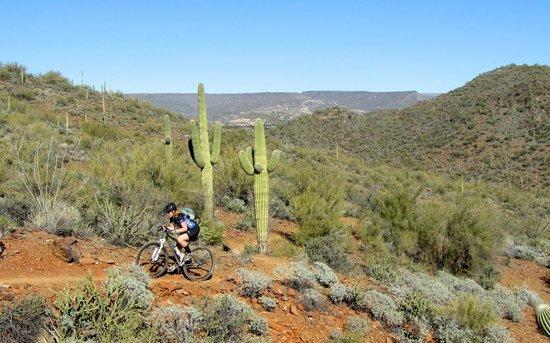 Spur Cross Cycles
