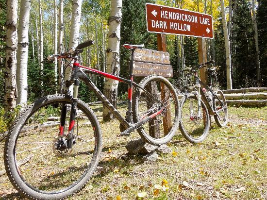 Bunker Creek Trail