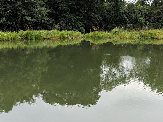 Barlow Lakes