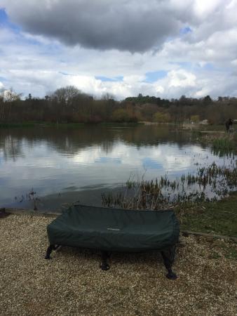 Bury Hill Fisheries