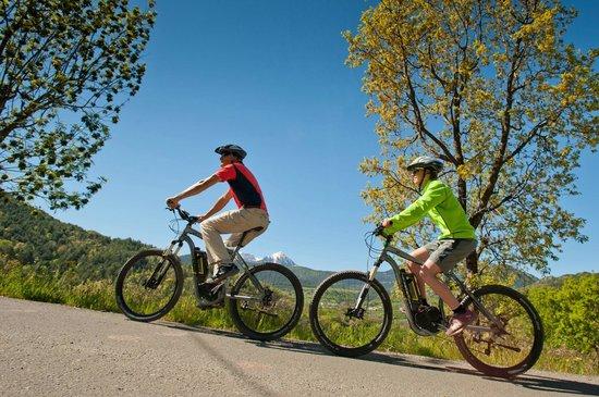 Verdebike