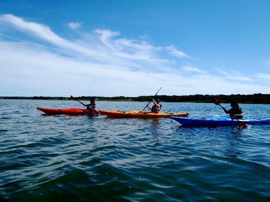 Martha's Vineyard Eco Adventures
