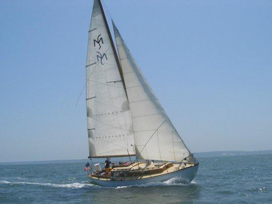 Sail Ena - Vineyard Sound Sail Charters