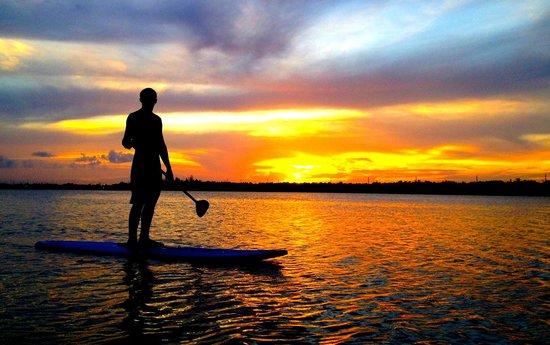 CC Kayak Adventures