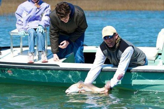 Headshaker Charters