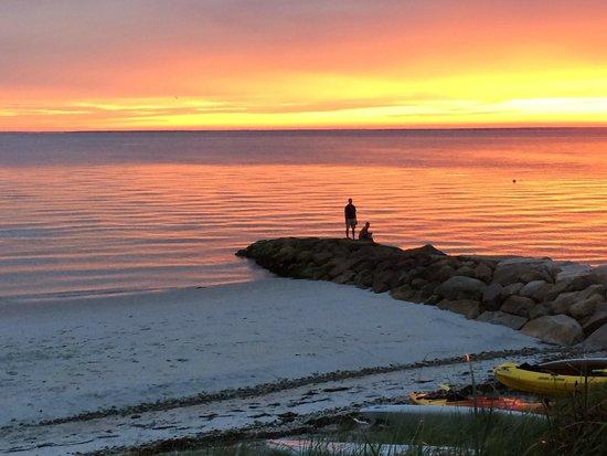 Jack's Cape Cod