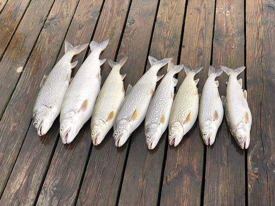 True Blue Charters