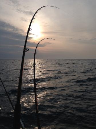 Van's Catch