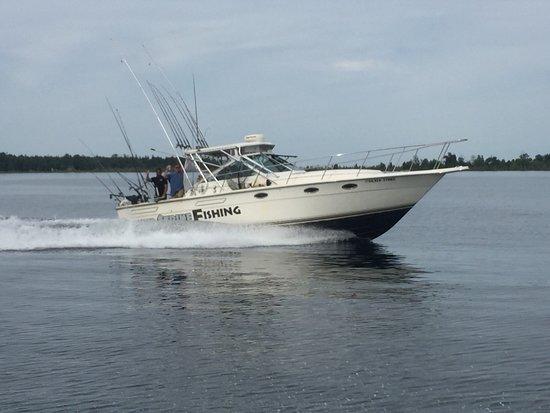 Silver Strike Fishing