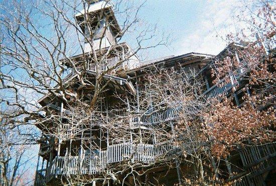 The Minister's Tree House