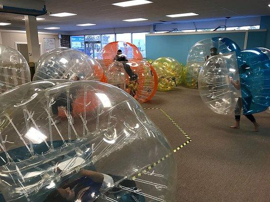 The Ball Hive