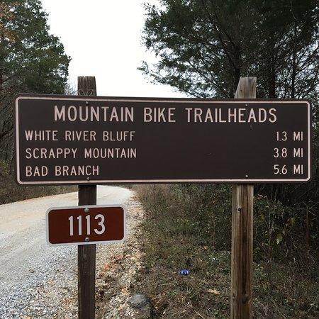 Syllamo Mountain Bike Trail