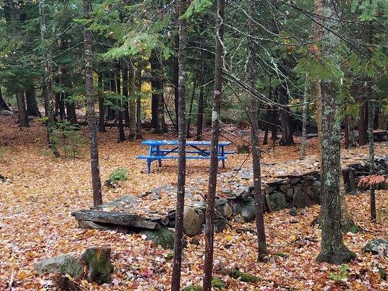 Lincoln Walking Trails
