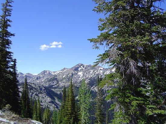Big Wild Adventures