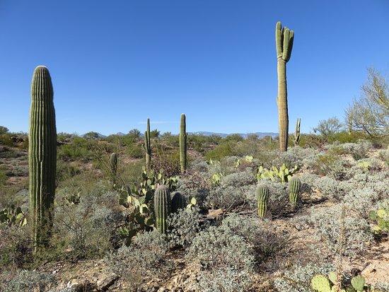 Freeman Homestead Trail