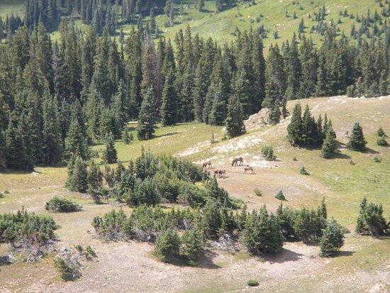 Hall Ranch