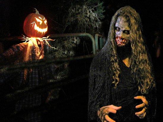Creepy Hollow Haunted Woods