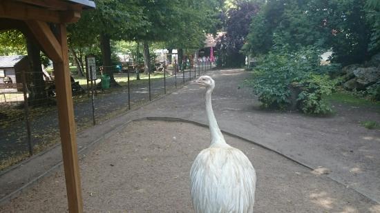 Cafe Tiergarten
