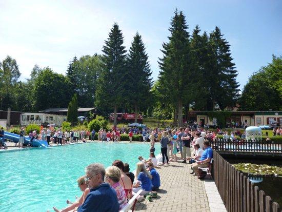 Waldbad Elend