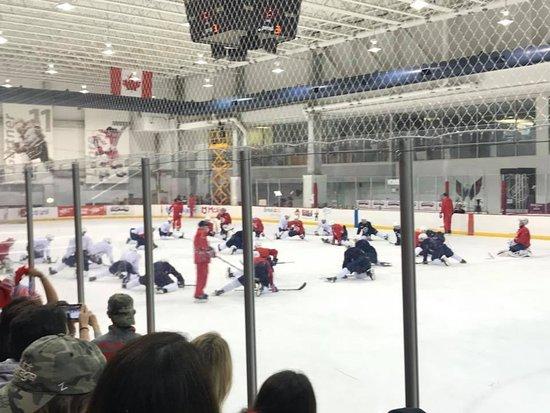 Kettler Capitals Iceplex