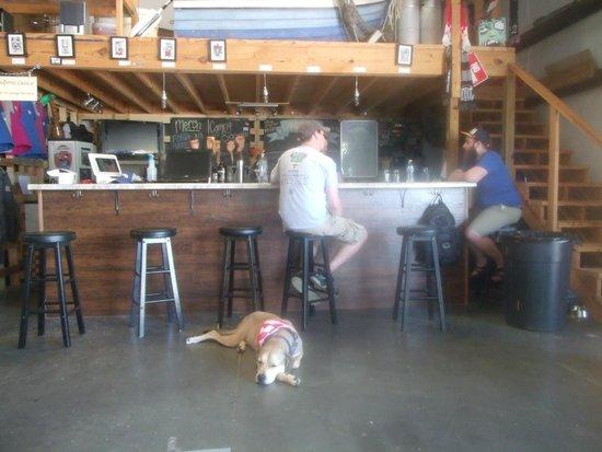 Frothy Beard Brewing Company