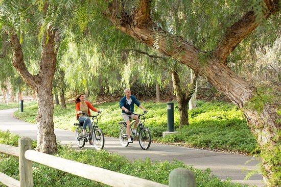 Pedego Electric Bikes Southlands