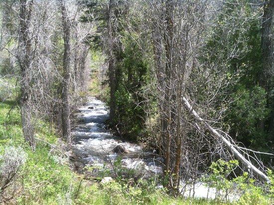 Jardine Juniper Trail
