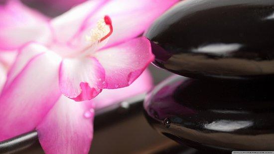 Muladhara Wellness Spa
